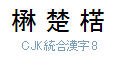 CJK 統合漢字 8