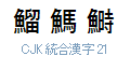 CJK 統合漢字 21